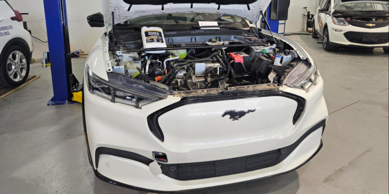 Ford XEV